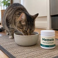 Tabby cat eating beside a jar of Meowie Dental Powder