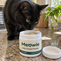Black cat sniffing a jar of Meowie Dental Powder
