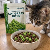 Cat grass bites on kibble with the Meowie pouch