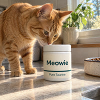 Ginger cat sniffing a tub of Meowie Pure Taurine on the kitchen counter