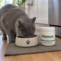 Grey cat eating next to a tub of Meowie Pure Taurine