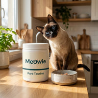Siamese cat looking at a tub of Meowie Pure Taurine