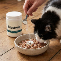 Taurine powder sprinkled over wet cat food