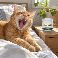 Ginger cat yawning on a bed beside Meowie Dental Powder