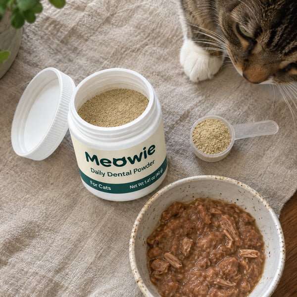 Flat lay of Meowie Dental Powder, scoop and cat food