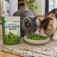 Two cats sharing Meowie Cat Grass Bites