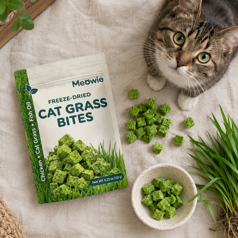 Grass fibre for indoor cats