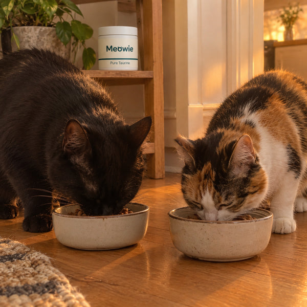 Two cats eating side by side with Meowie Taurine on the shelf